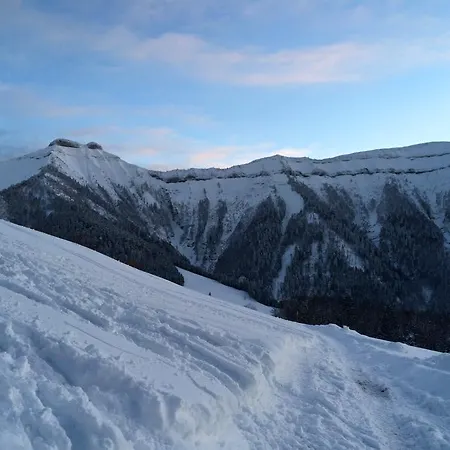 Schwammerlhuette Krispl